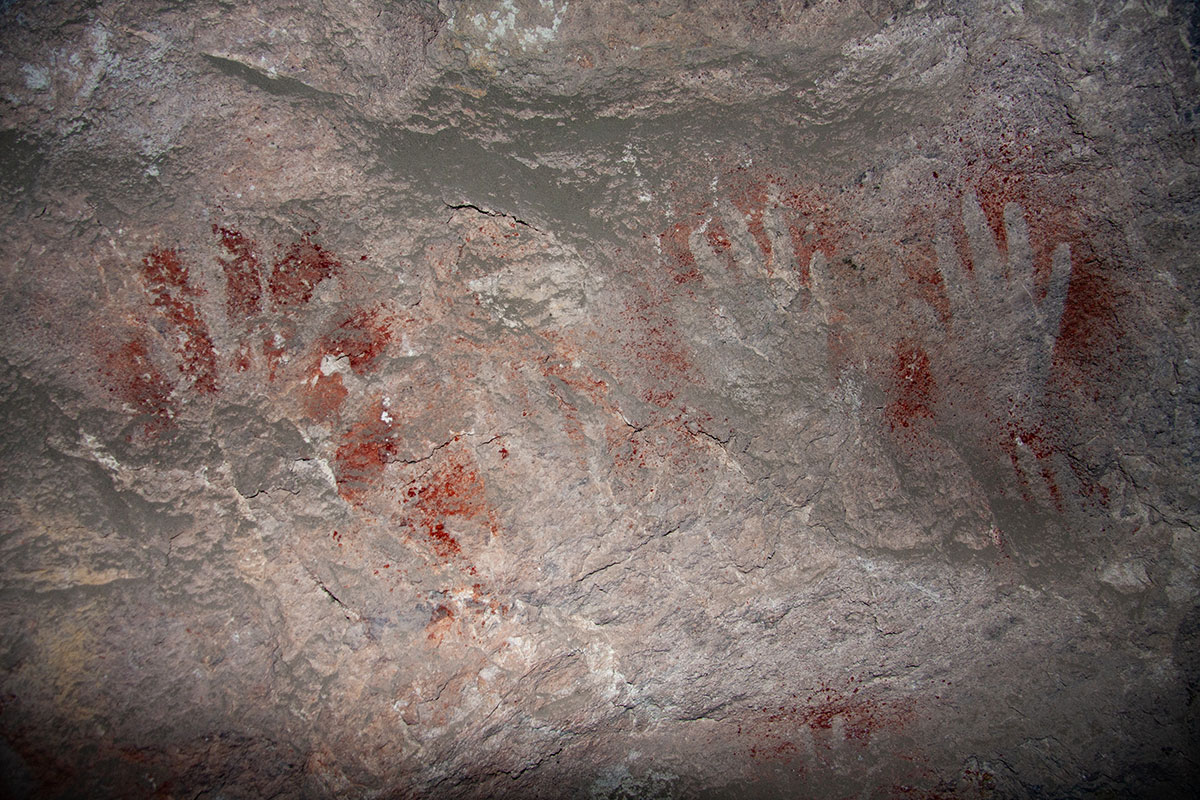 Campamento Darwin - Conservation Wildlife Lodges