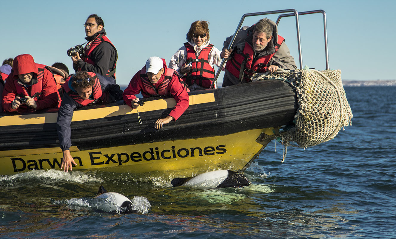 Campamento Darwin - Conservation Wildlife Lodges