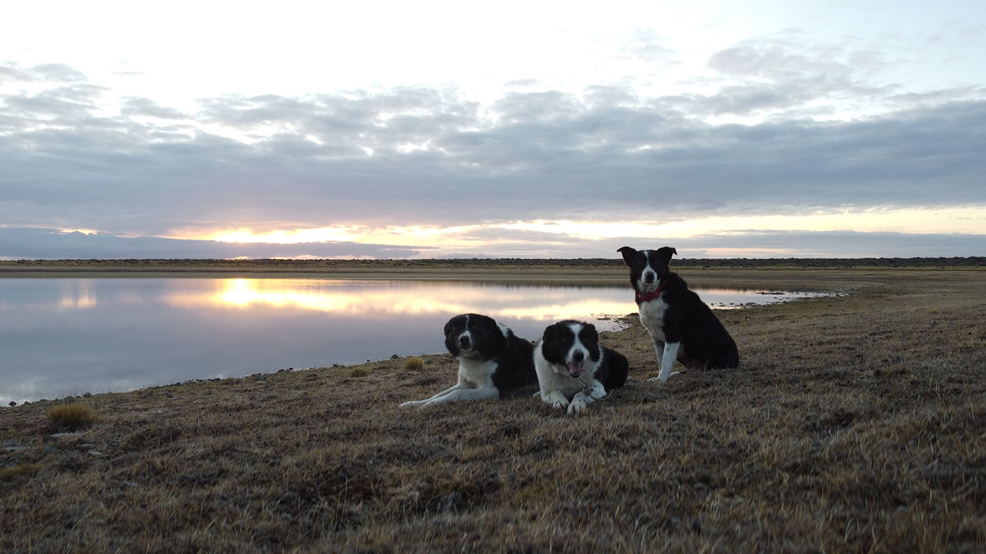 Monte Dinero - Conservation Wildlife Lodges