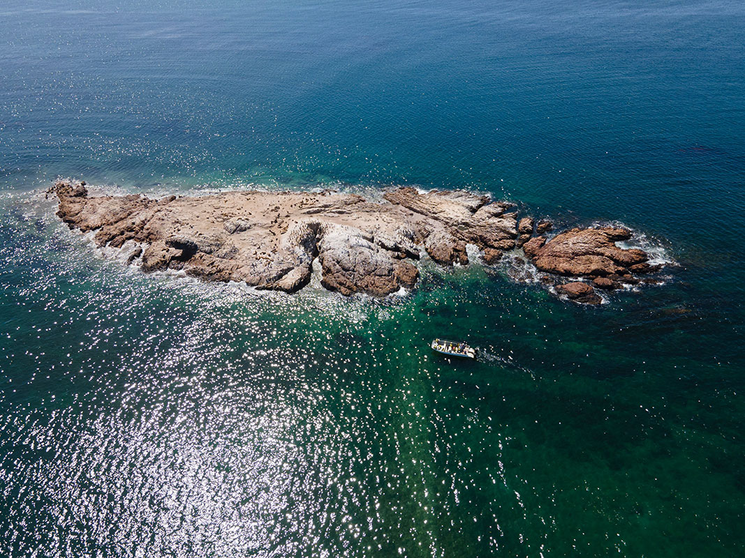 Bahia Bustamante Lodge - Conservation Wildlife Lodges