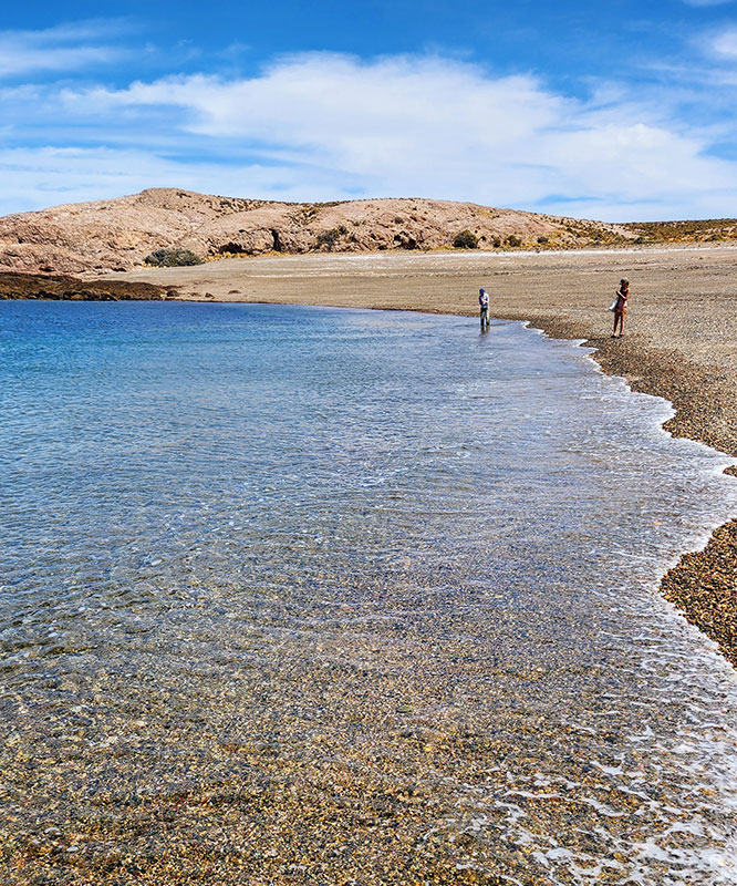 Bahia Bustamante Lodge - Conservation Wildlife Lodges