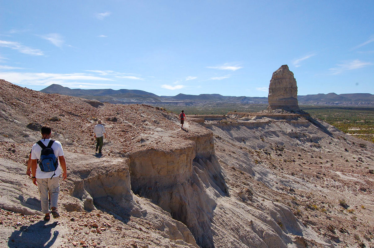Bahia Bustamante Lodge - Conservation Wildlife Lodges