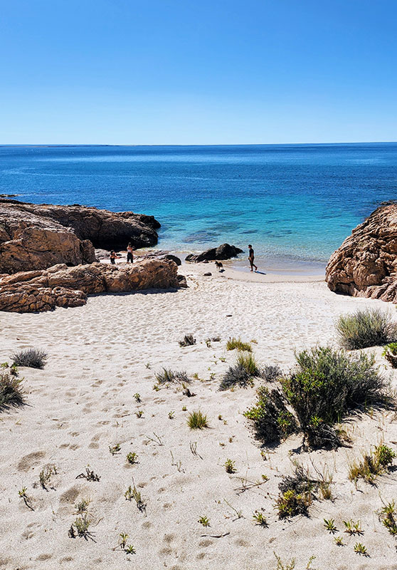 Bahia Bustamante Lodge - Conservation Wildlife Lodges
