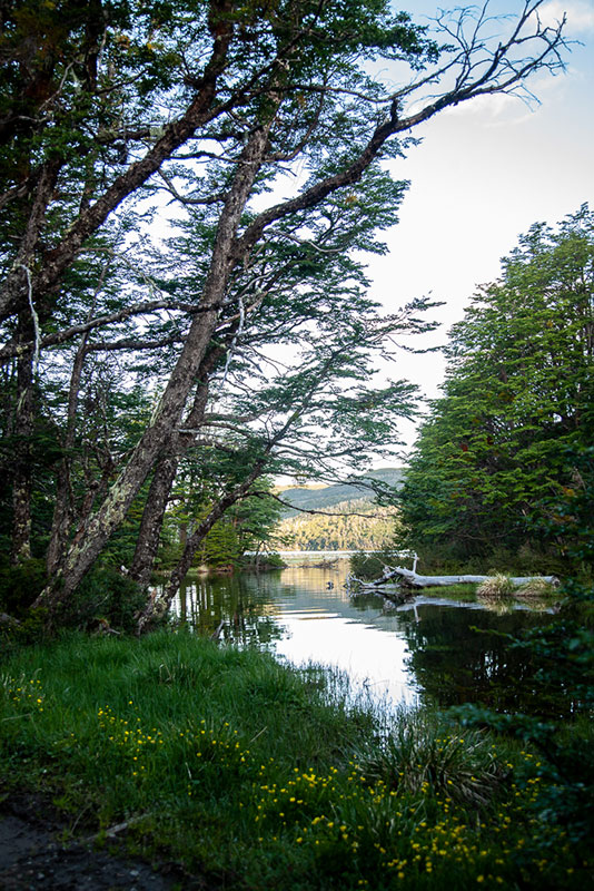 Bahia Arenal - Conservation Wildlife Lodges