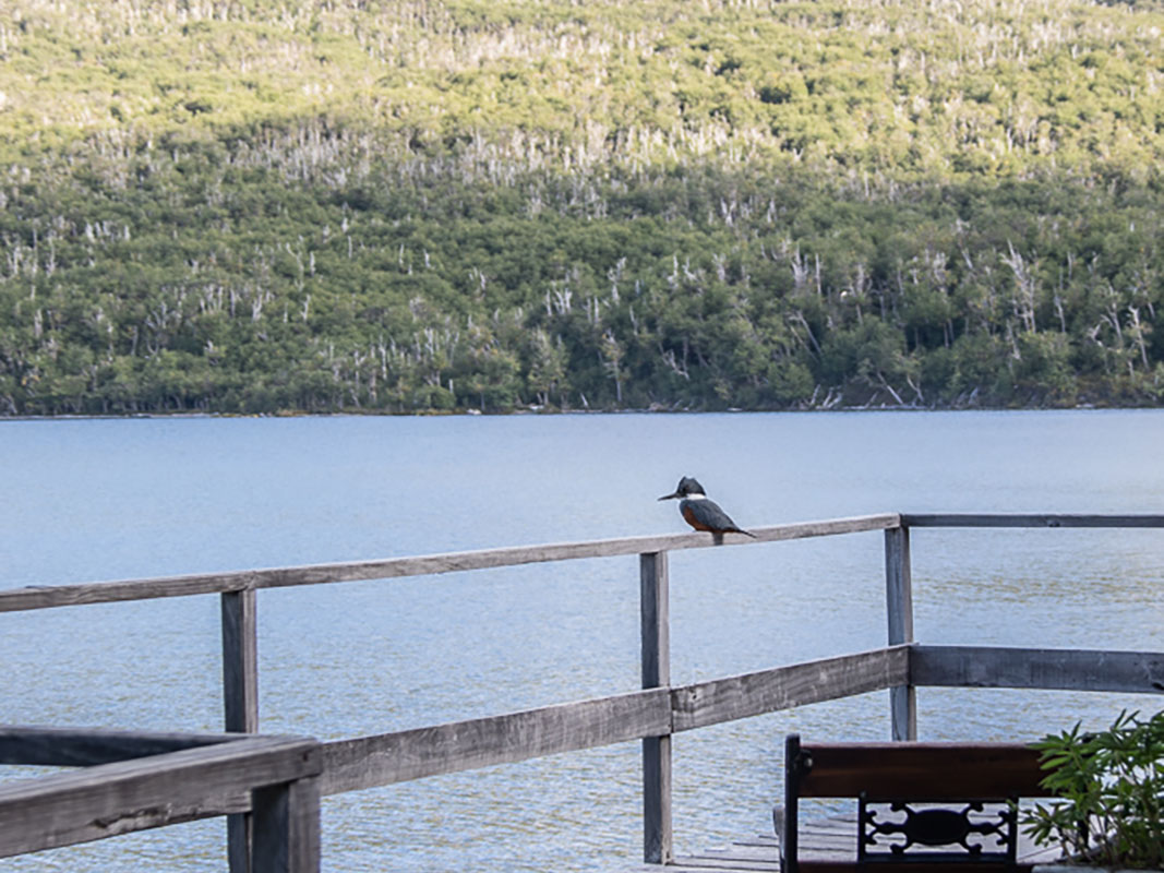 Bahia Arenal - Conservation Wildlife Lodges